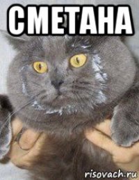 сметана 
