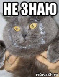 не знаю 