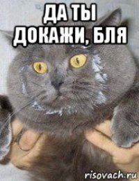 да ты докажи, бля 