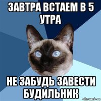 завтра встаем в 5 утра не забудь завести будильник