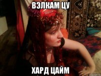 вэлкам цу хард цайм