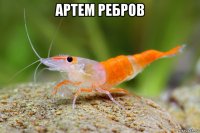 артем ребров 