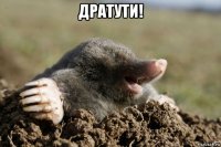 дратути! 