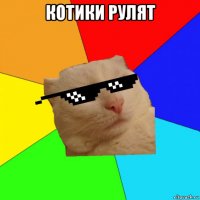 котики рулят 