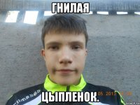 гнилая цыпленок.