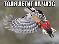 толя летит на чаэс 