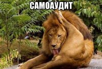 самоаудит 