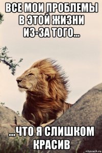 все мои проблемы в этой жизни из-за того... ...что я слишком красив
