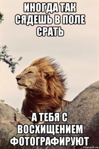 иногда так сядешь в поле срать а тебя с восхищением фотографируют
