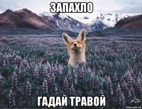 запахло гадай травой
