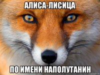 алиса-лисица по имени наполутанин