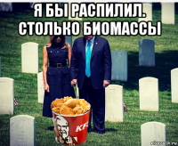 я бы распилил. столько биомассы 