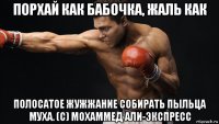 порхай как бабочка, жаль как полосатое жужжание собирать пыльца муха. (с) мохаммед али-экспресс