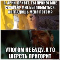 о, арни, привет. ты принёс мне сухарей? мне бы помыться. погладишь меня потом? утюгом не буду. а то шерсть пригорит