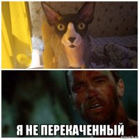  я не перекаченный