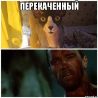 перекаченный 