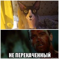  не перекаченный