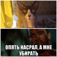  опять насрал, а мне убирать