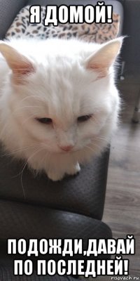 я домой! подожди,давай по последней!