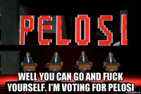  well you can go and fuck yourself. i'm voting for pelosi