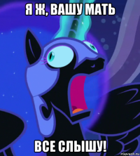 я ж, вашу мать все слышу!