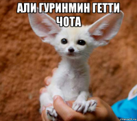 али гуринмин гетти чота 