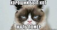 хороший был кот жаль помер