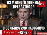 из мелкого говнеца превратился в большуууую навозную кучу