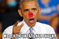  мы сключитальная гнация