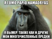 я гомо papio hamadryas я вымер, также как и другие мои многочисленные предки