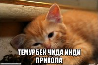  темурбек чида инди прикола
