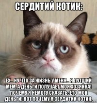 сердитий котик: ех... ну что за жизнь у меня... я лутший мем, а деньги получает моя хозяйка! почему я немогу сказать: ето мои деньги! вот почему я сердитий котик.