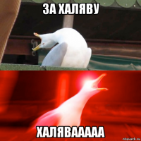 за халяву халявааааа