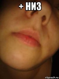 + низ 