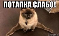 потапка слабо! 