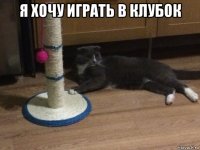 я хочу играть в клубок 