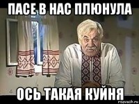 пасе в нас плюнула ось такая куйня