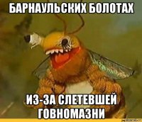 барнаульских болотах из-за слетевшей говномазни
