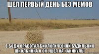шел первый день без мемов в боди сработал биологический будильник школьника и он ушел на каникулы