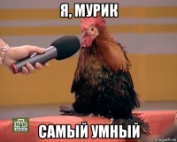 я, мурик самый умный