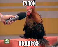 тупой подорож