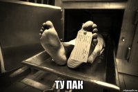  ту пак