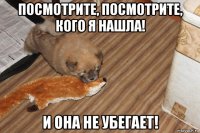 посмотрите, посмотрите, кого я нашла! и она не убегает!