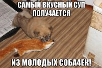 самый вкусный суп полу4ается из молодых соба4ек!