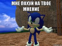 мне похуй на твое мнение 