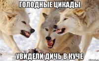 голодные цикады увидели дичь в куче
