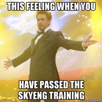this feeling when you have passed the skyeng training