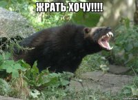 жрать хочу!!!! 