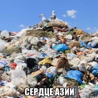  сердце азии