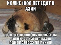 их уже 1000 лет едят в азии я тоже их готовлю вкусно! салат из задней части этой соба4ки полу4ится восхитительный!